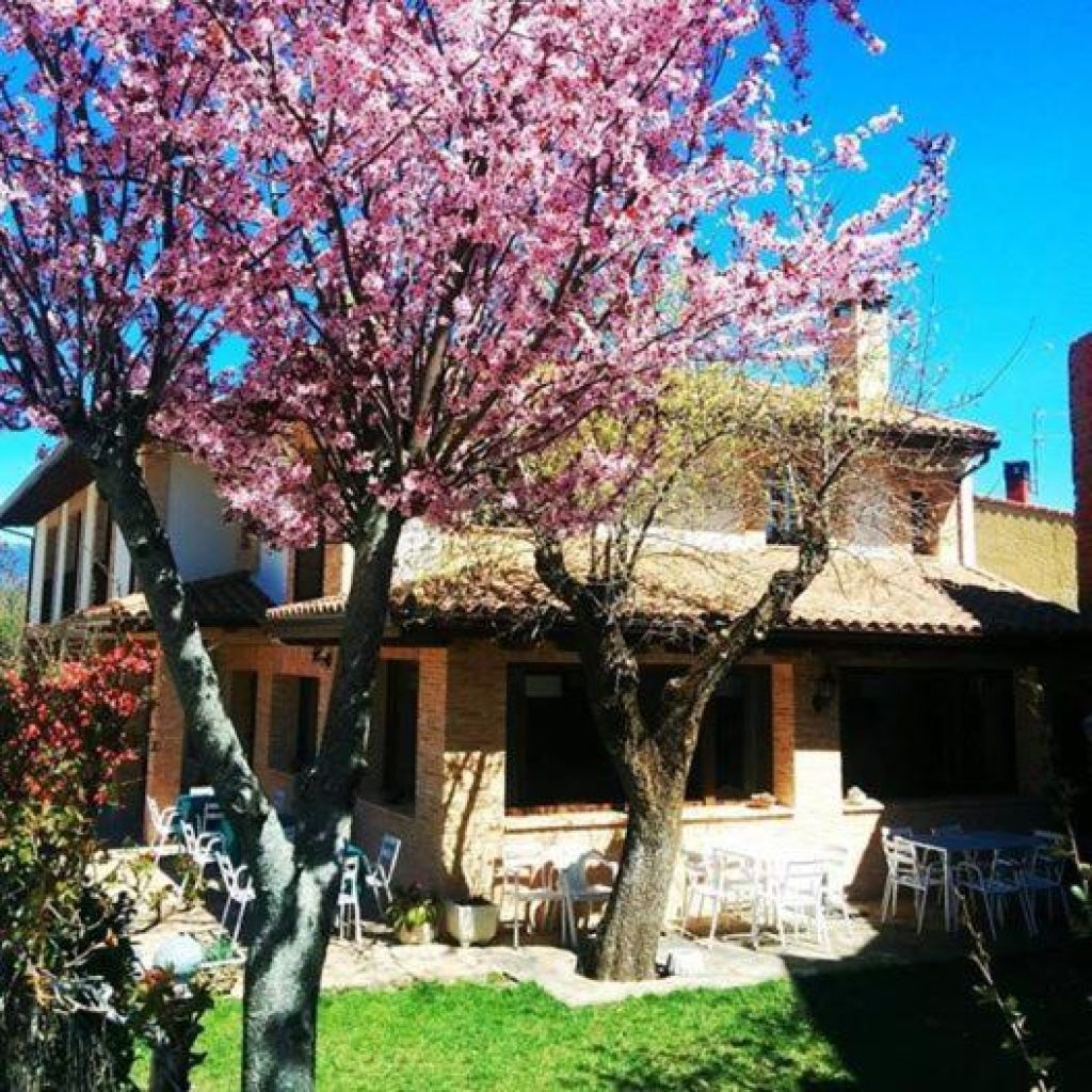 Hotel Rural Los Manzanos - Principal