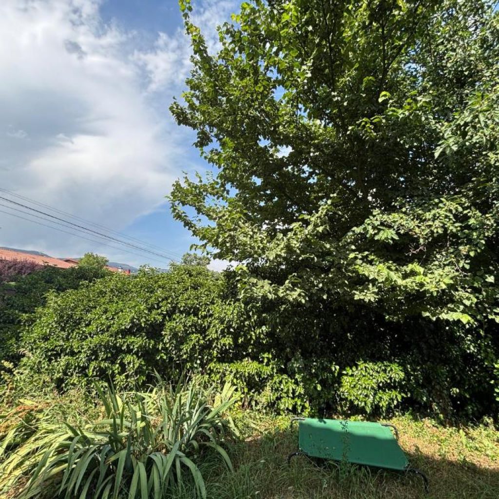 Casa rural La Huerta - Jardín
