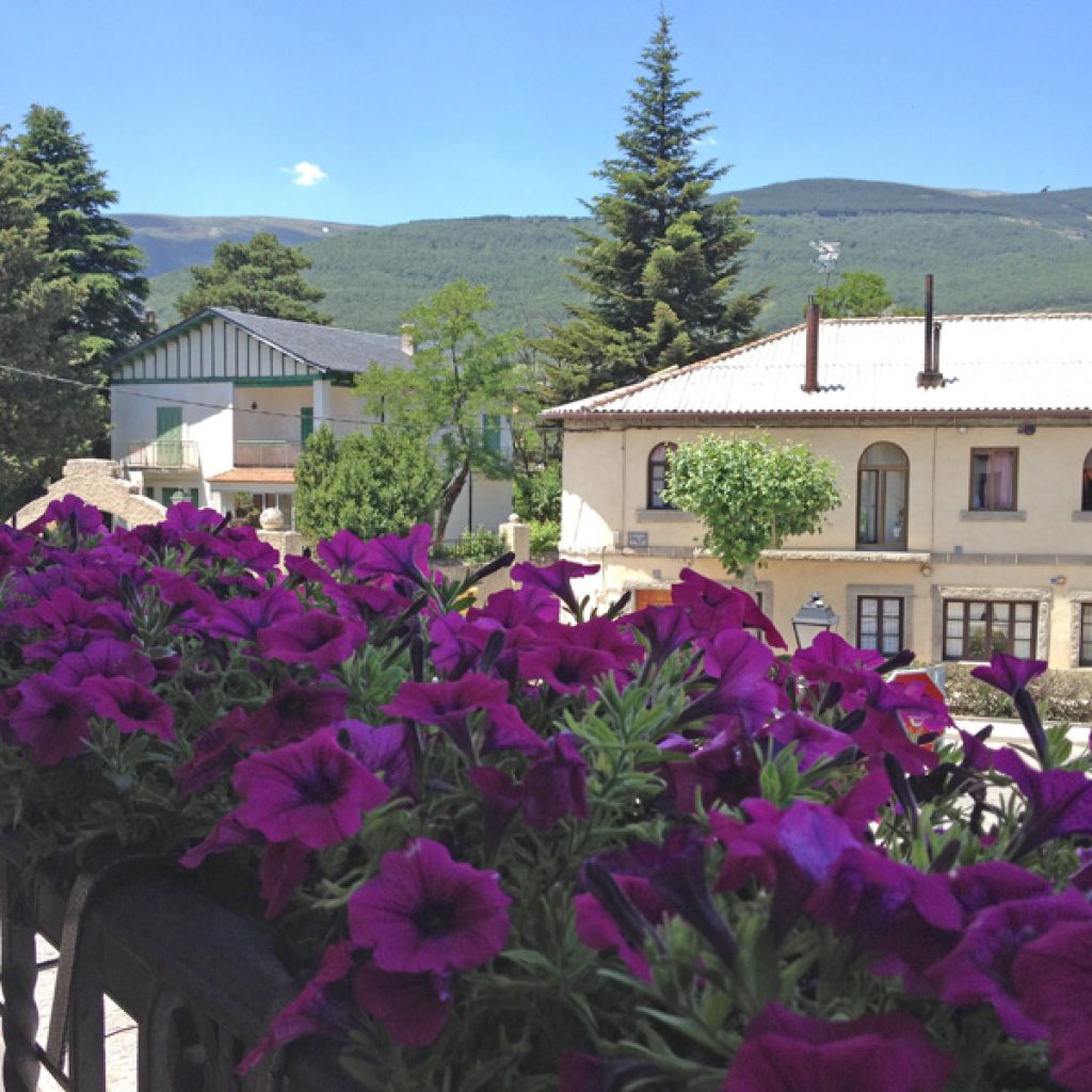 Apartamentos rurales Valle de El Paular - 2px -Aguilón - Vistas