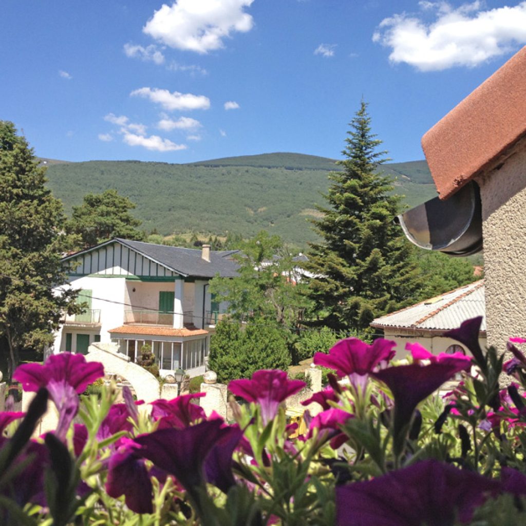 Apartamentos rurales Valle de El Paular - 2px -Calderuelas - Vistas