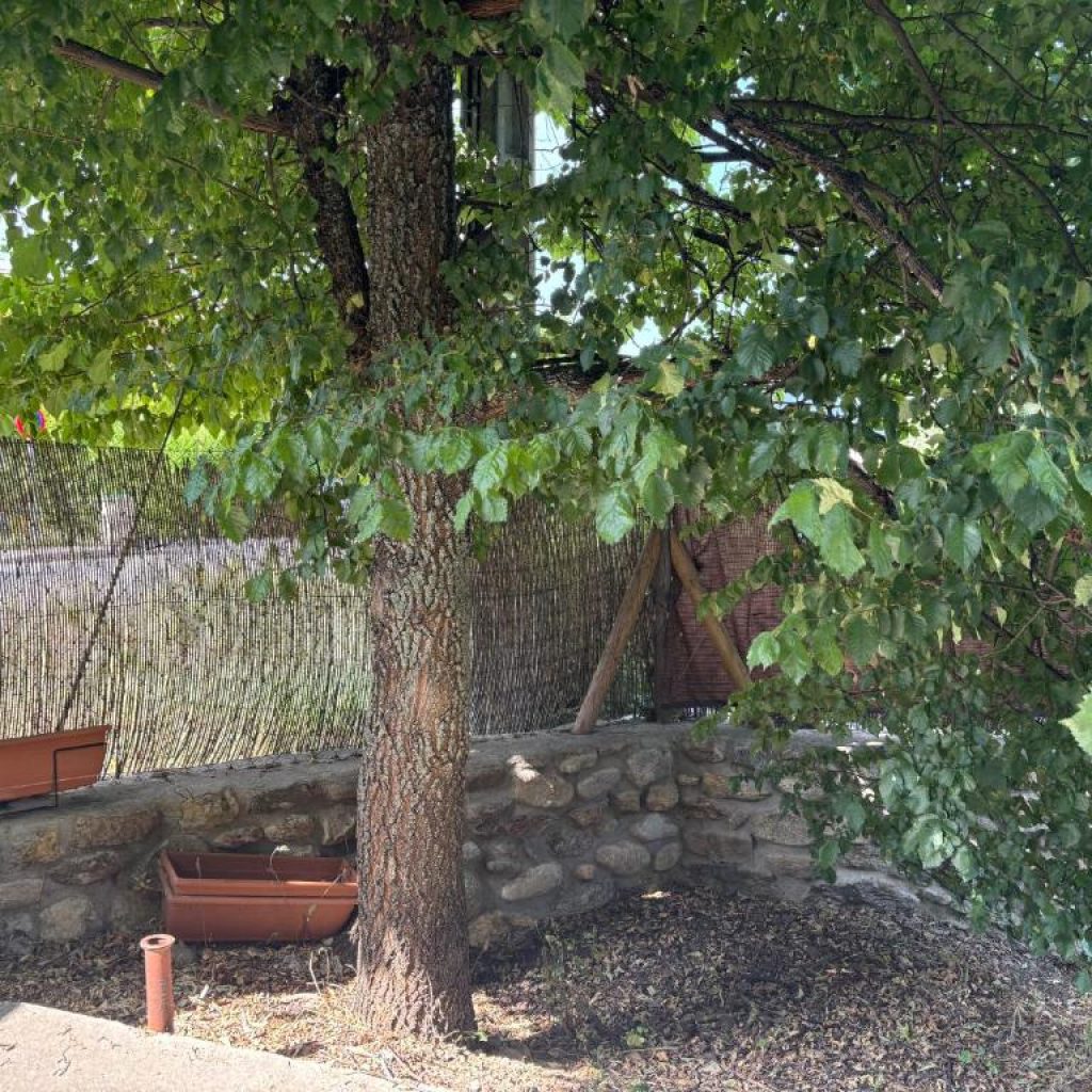 Casa rural La Huerta - Jardín