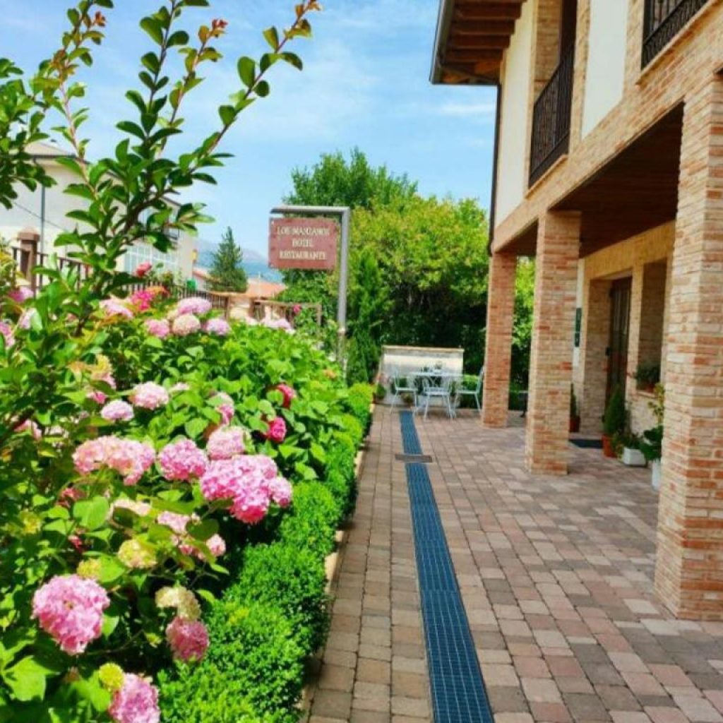 Hotel Rural Los Manzanos - Terraza