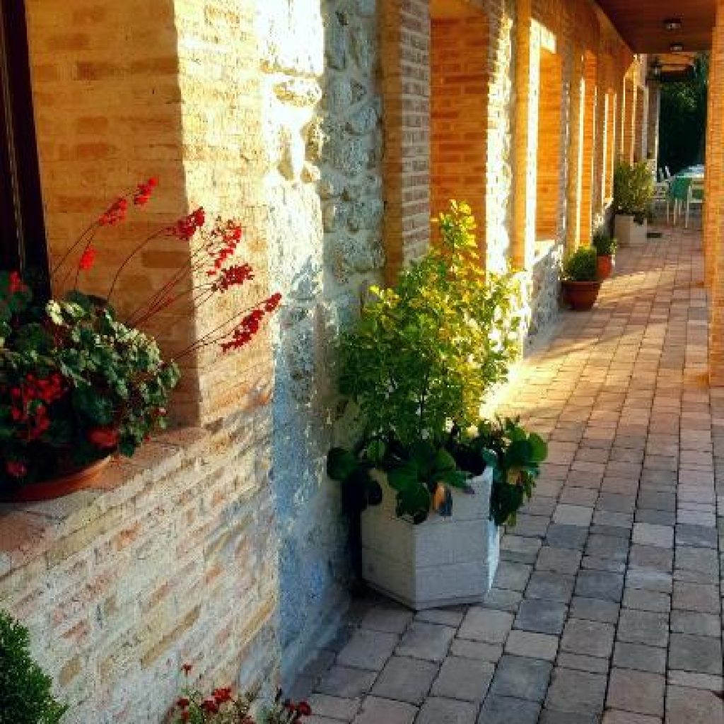 Hotel Rural Los Manzanos - Terraza