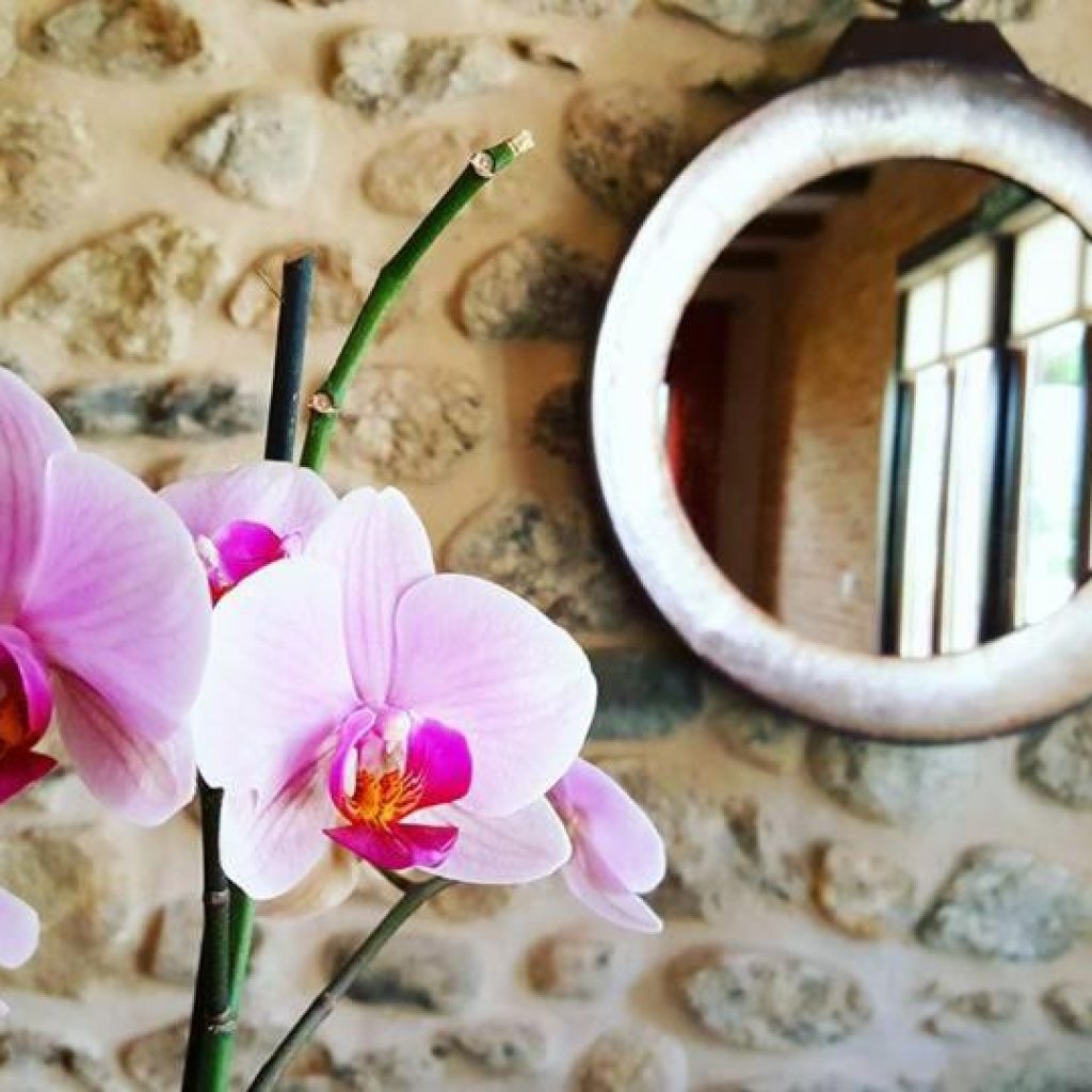 Hotel Rural Los Manzanos - Detalles