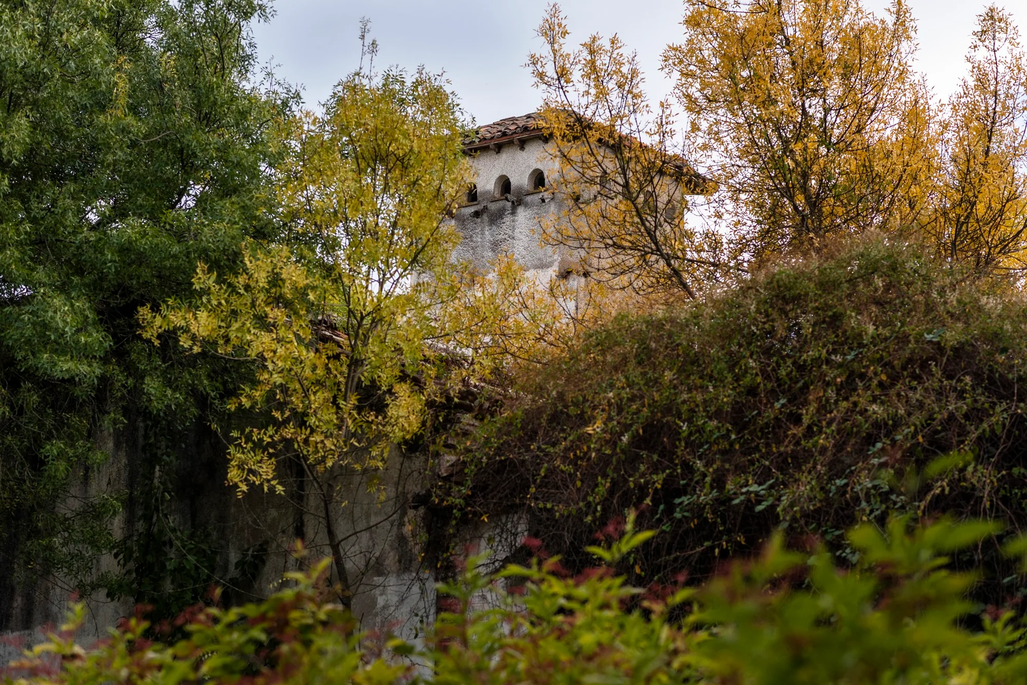 Bosque finlandés