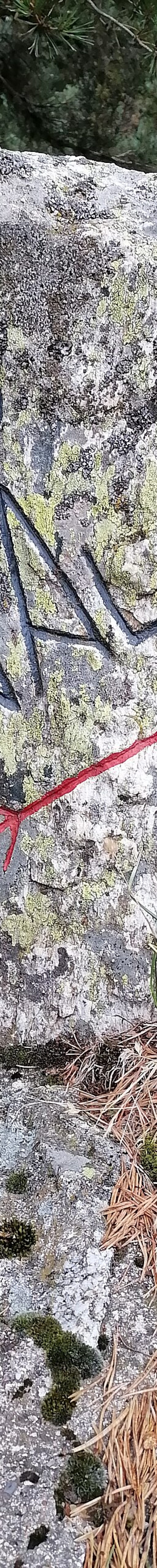 Senda de acceso al Pico de Peñalara desde el Puerto de Cotos