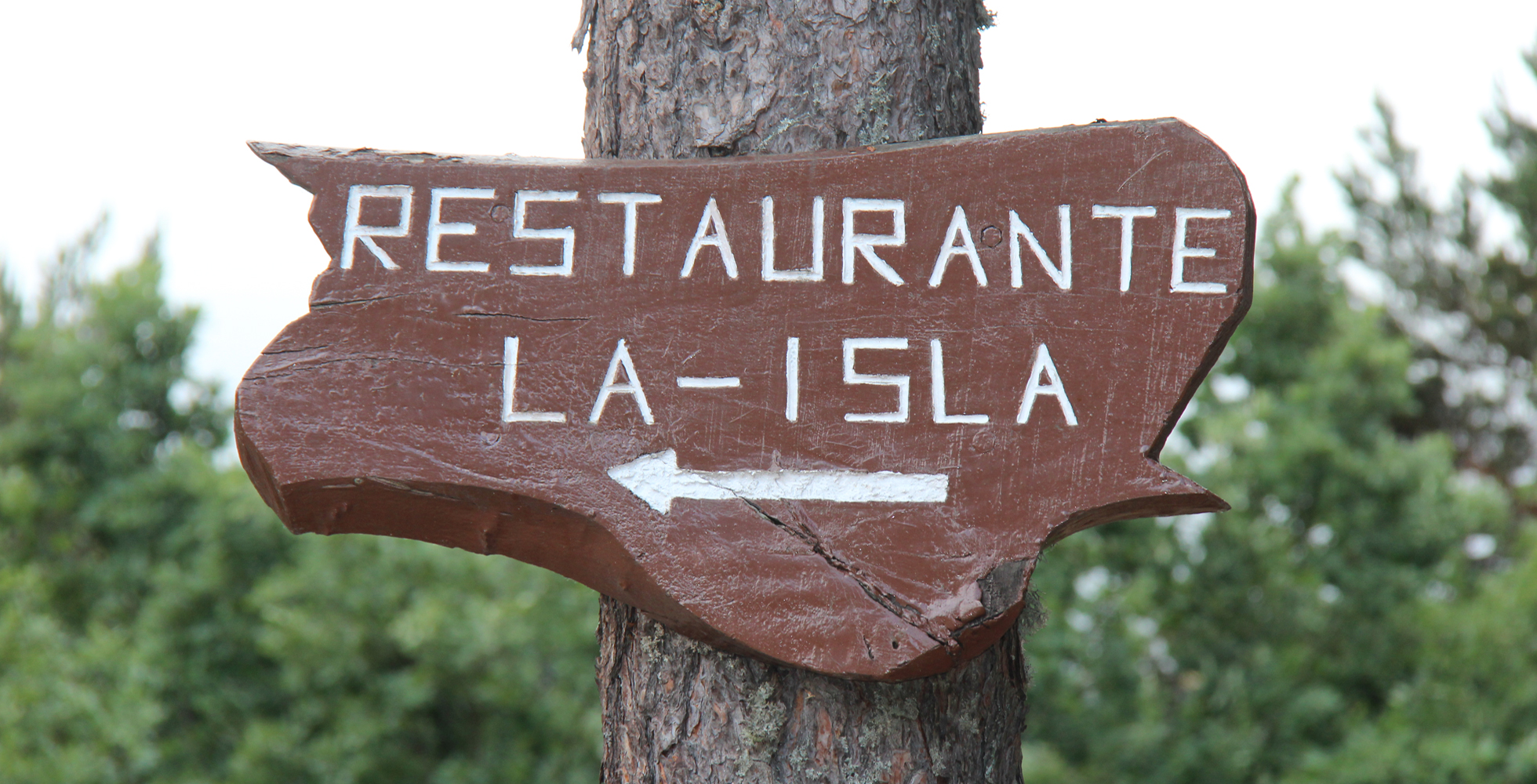 La Isla — cartel direccional en árbol